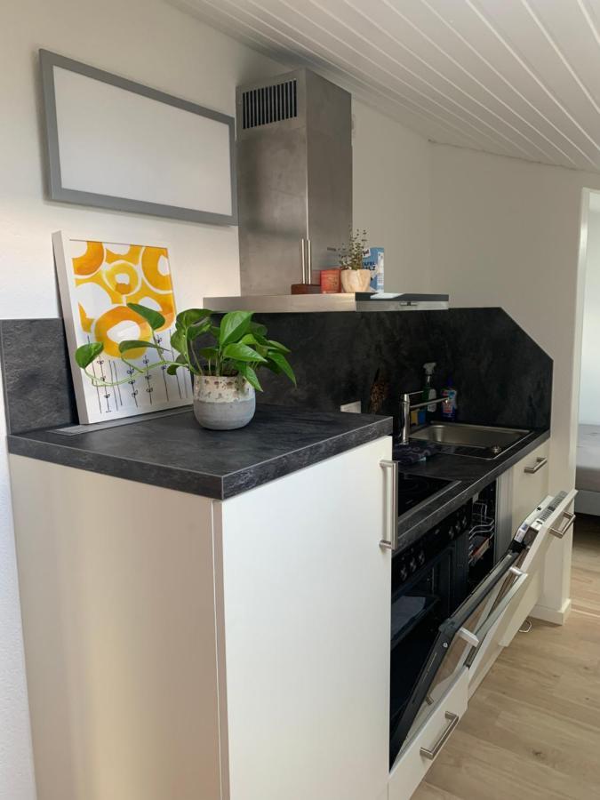 Schoene, Grosse Direkt Am Donauradweg & Keltenstadt Heuneburg Apartment *