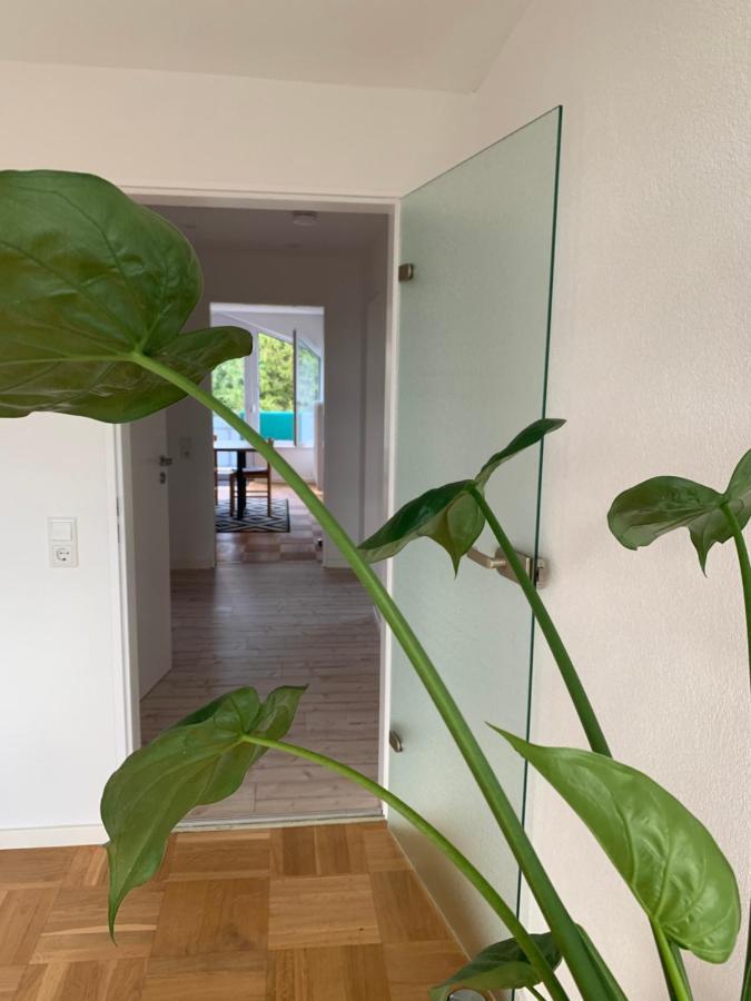 Schoene, Grosse Direkt Am Donauradweg & Keltenstadt Heuneburg Apartment *