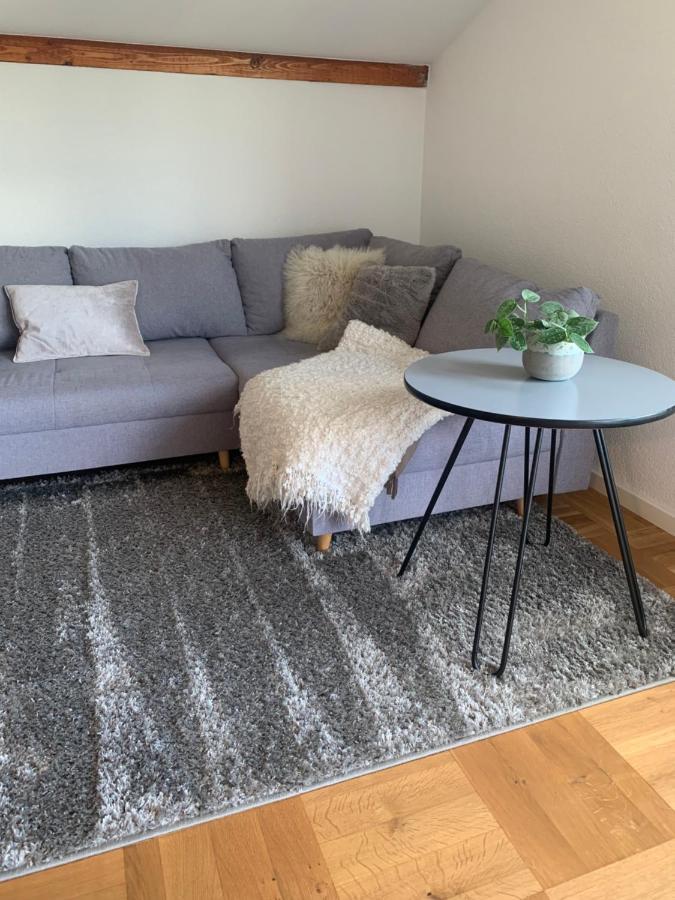 Apartment Schoene, Grosse Direkt Am Donauradweg & Keltenstadt Heuneburg