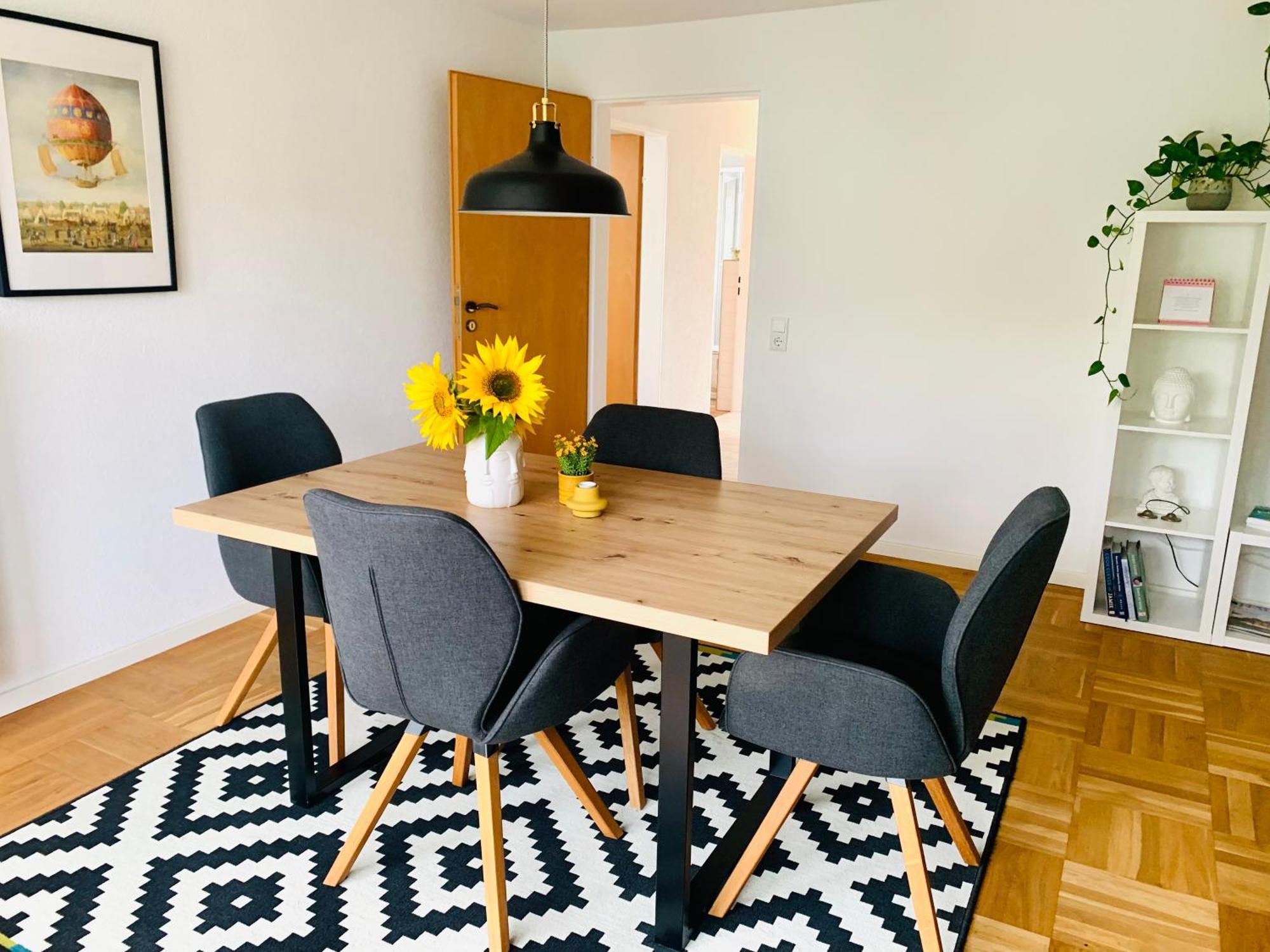 Apartment Schoene, Grosse Direkt Am Donauradweg & Keltenstadt Heuneburg Herbertingen